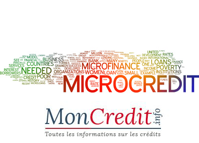 demande micro-credit social